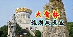 两个鸡巴大鸡巴操逼一个小骚逼啊啊啊视频中国浙江-绍兴大香林旅游风景区